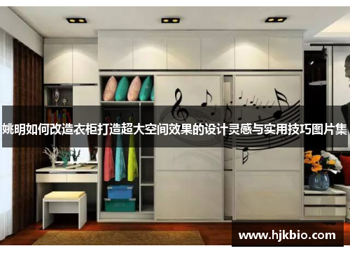 姚明如何改造衣柜打造超大空间效果的设计灵感与实用技巧图片集