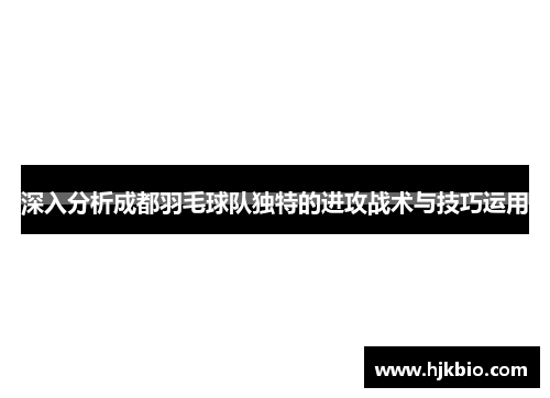 深入分析成都羽毛球队独特的进攻战术与技巧运用