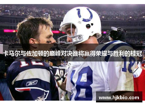 卡马尔与佐加顿的巅峰对决谁将赢得荣耀与胜利的桂冠